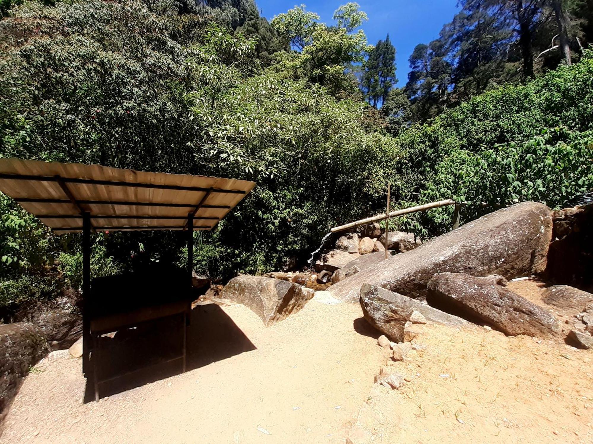 Forest View Rest Nuwaraeliya *