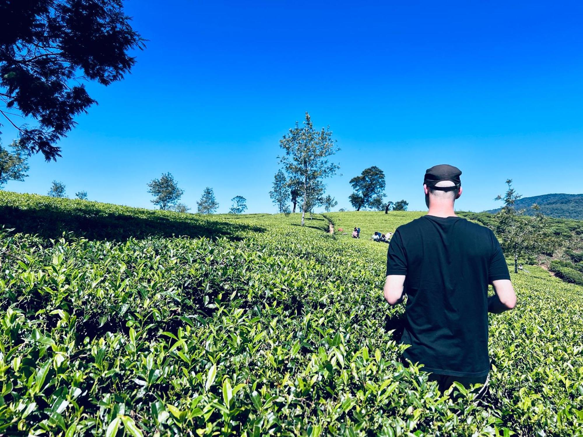 Rustique House Dbl * Nuwara Eliya