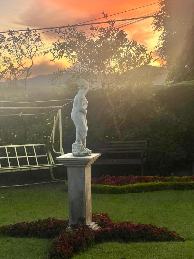 Villa The Rosedale Grand