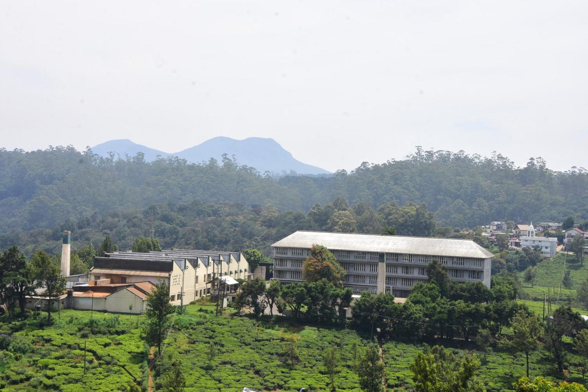 Homestay View