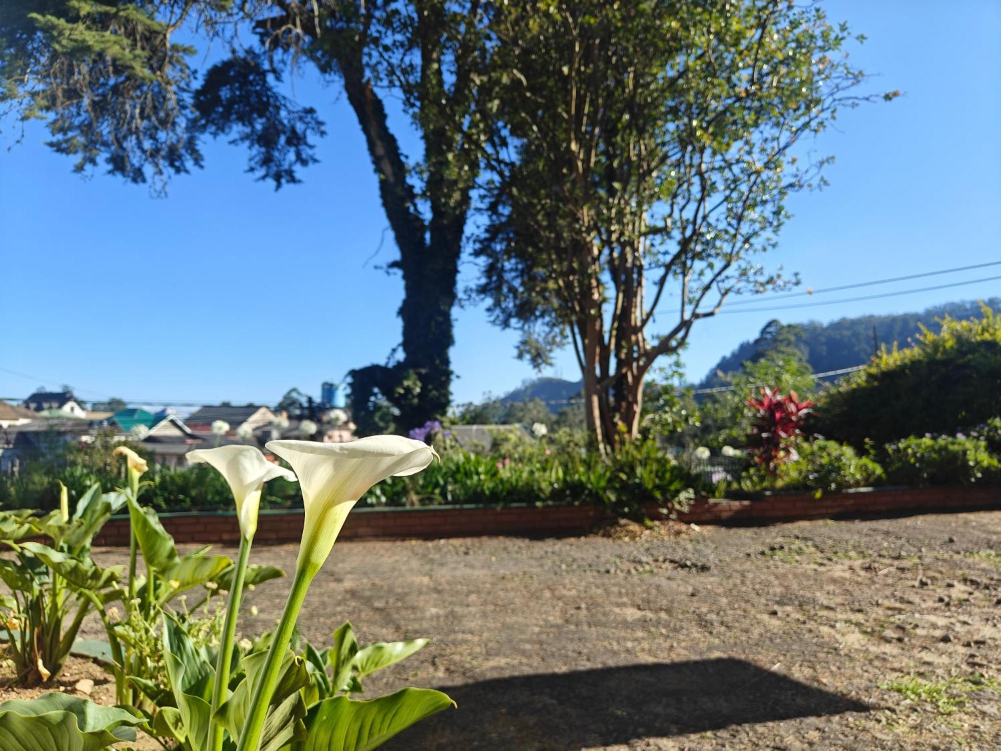 Waterfield By Liyozi Leasiure Country house Nuwara Eliya