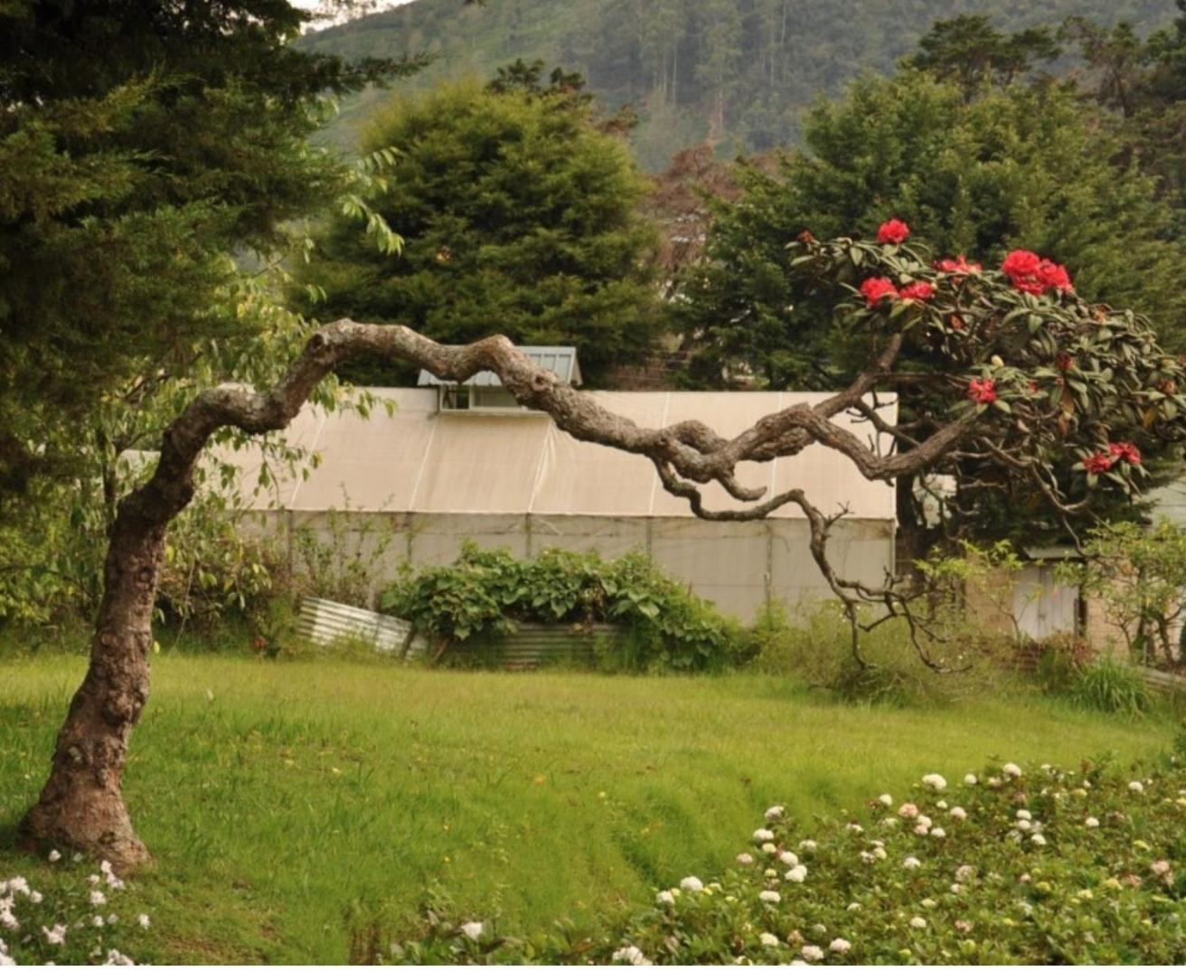 Apartment Breeze Nuwara Eliya