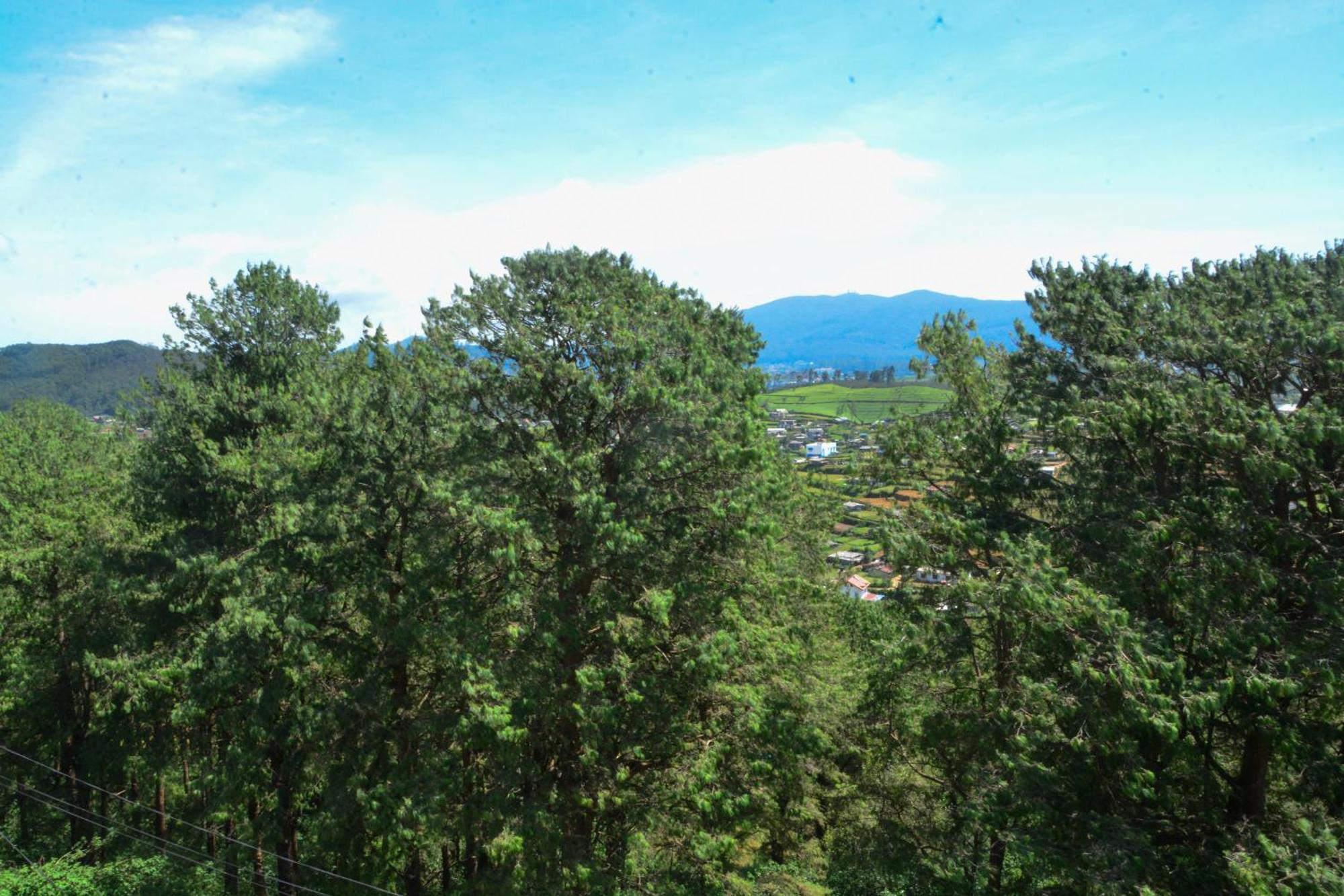 High Cliff