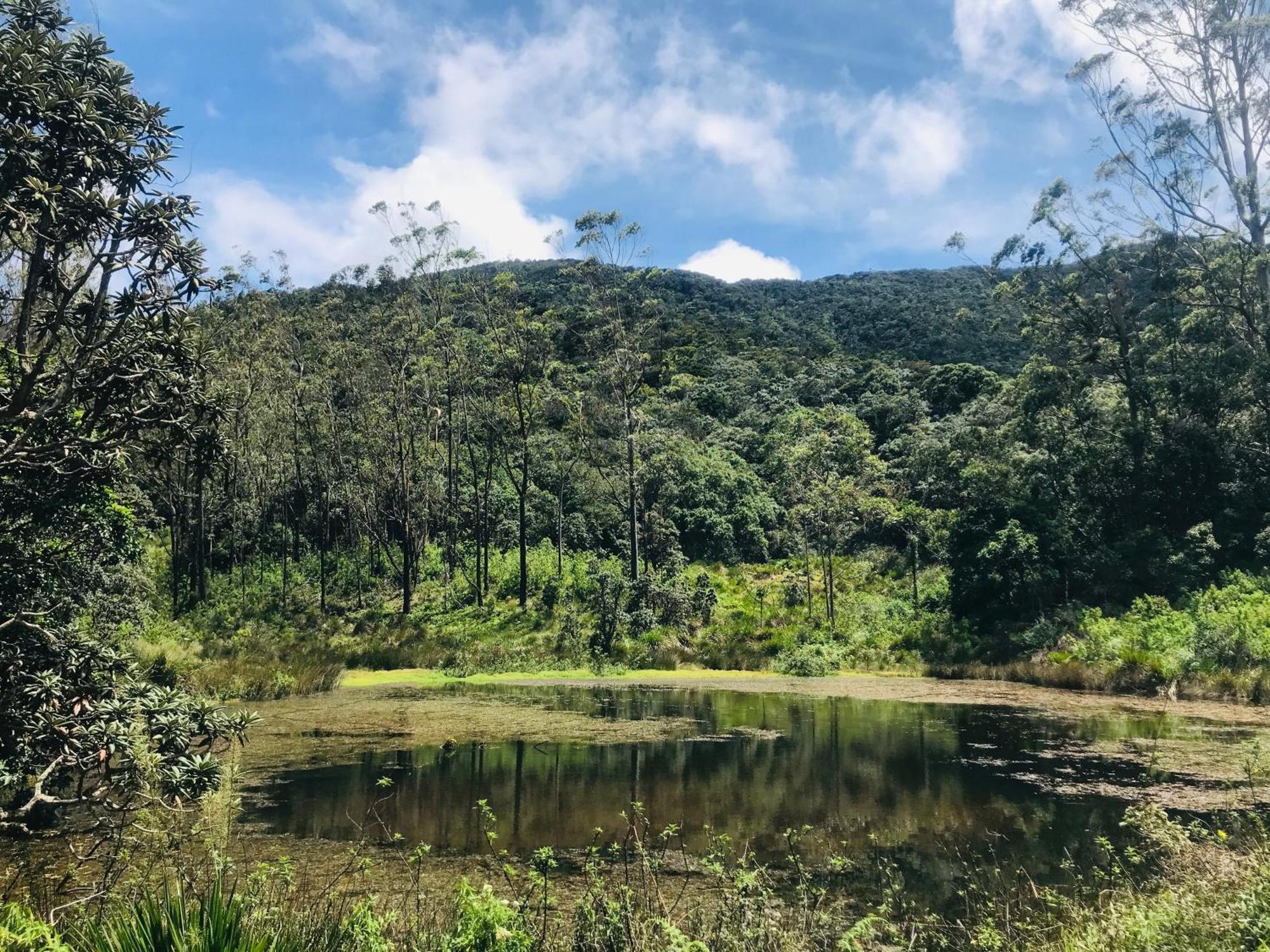 Horton Nuwara Eliya