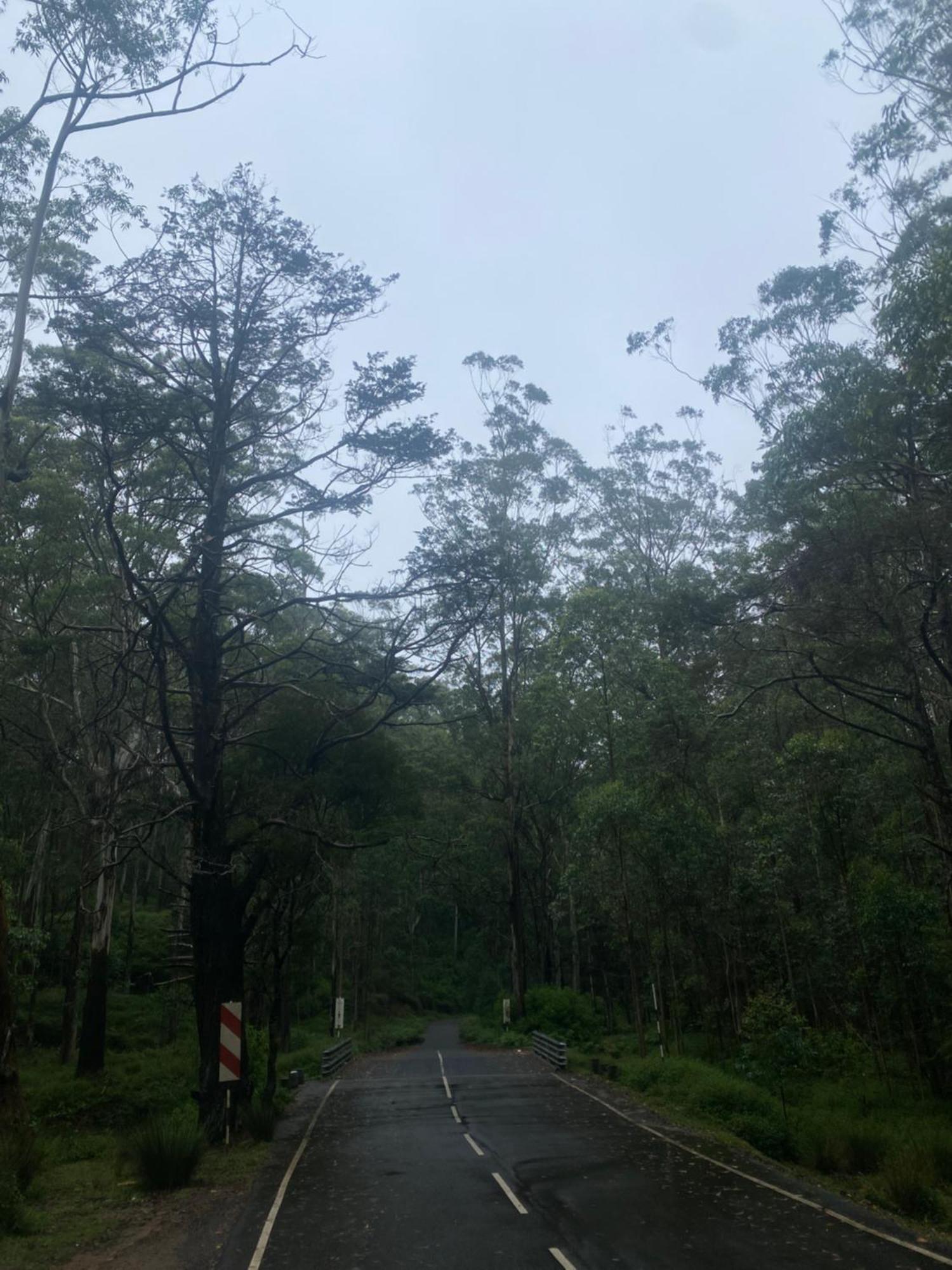 Horton * Nuwara Eliya