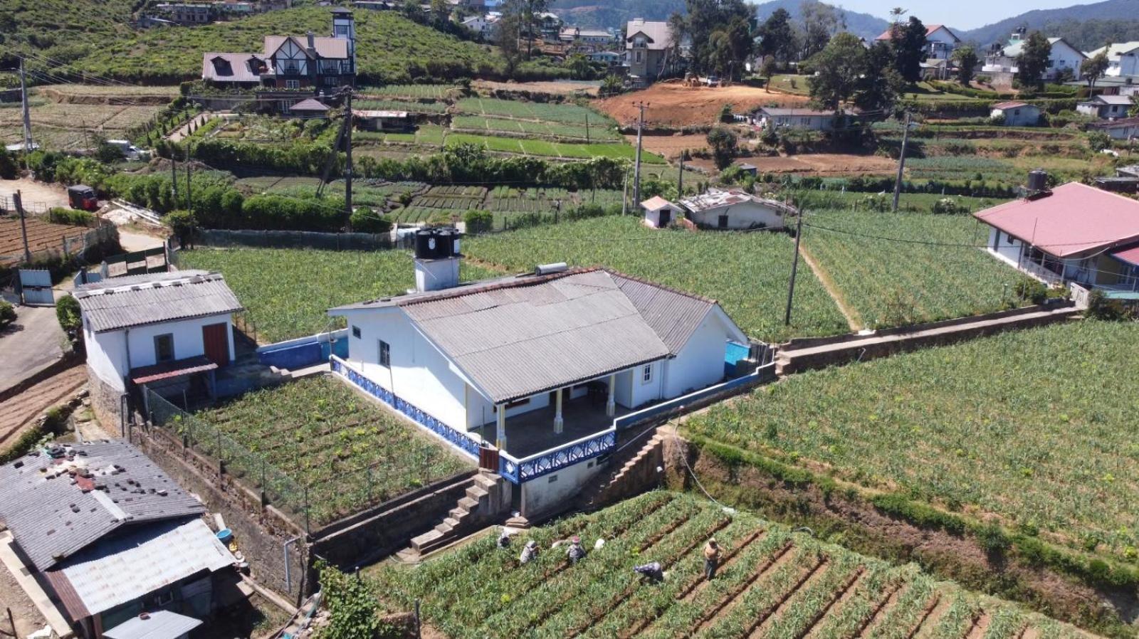 Montellaa Holiday home *