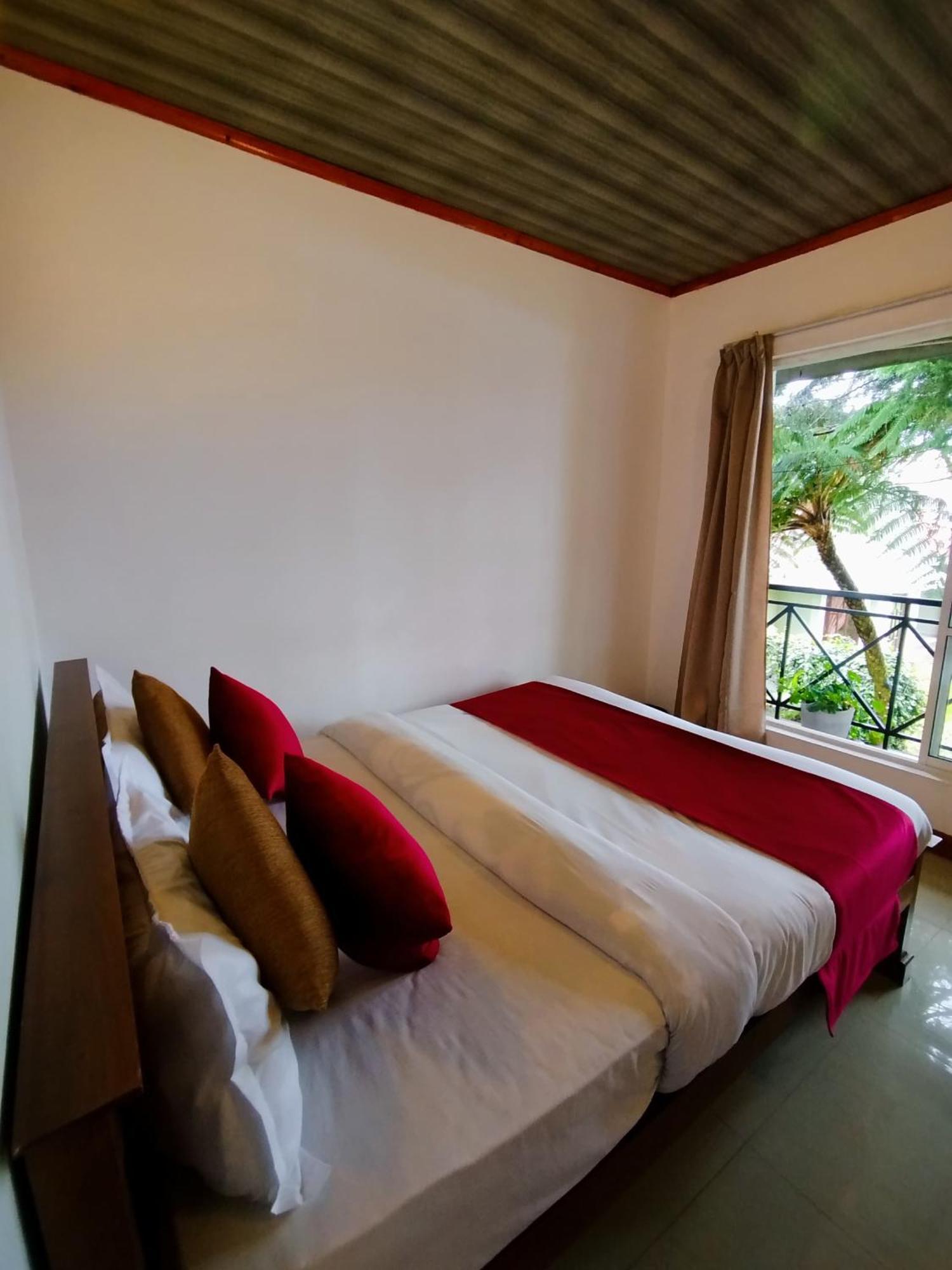 Blossomwell Guest house