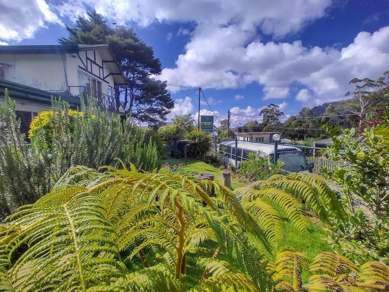 Blossomwell Guest house *