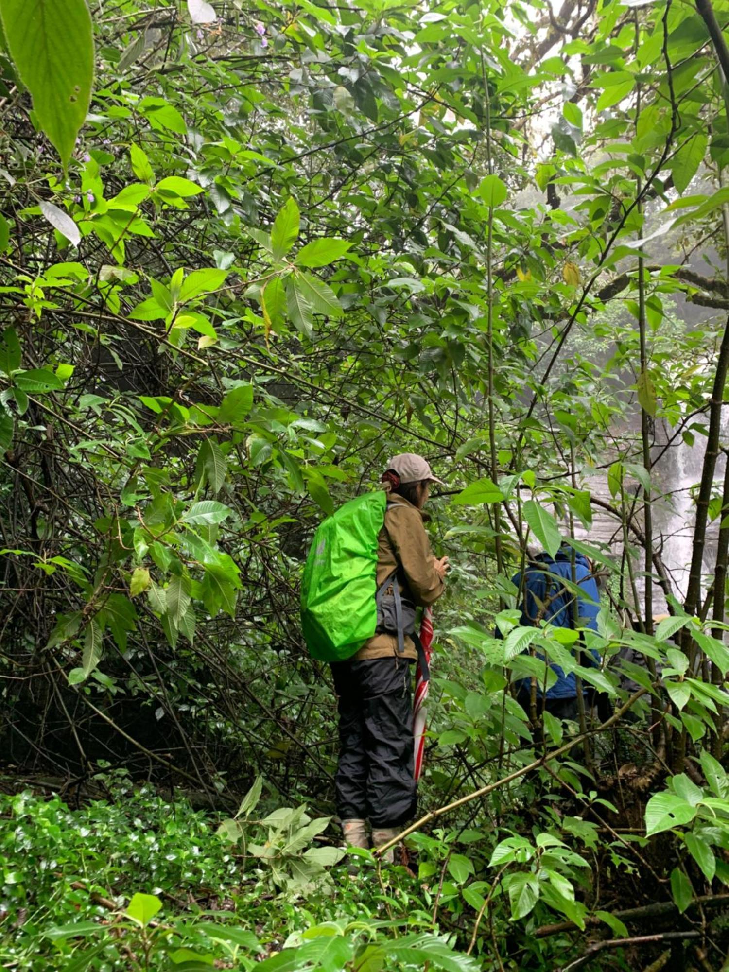 Homestay Pedro Stay,cooking Classes & Tours Nuwara Eliya