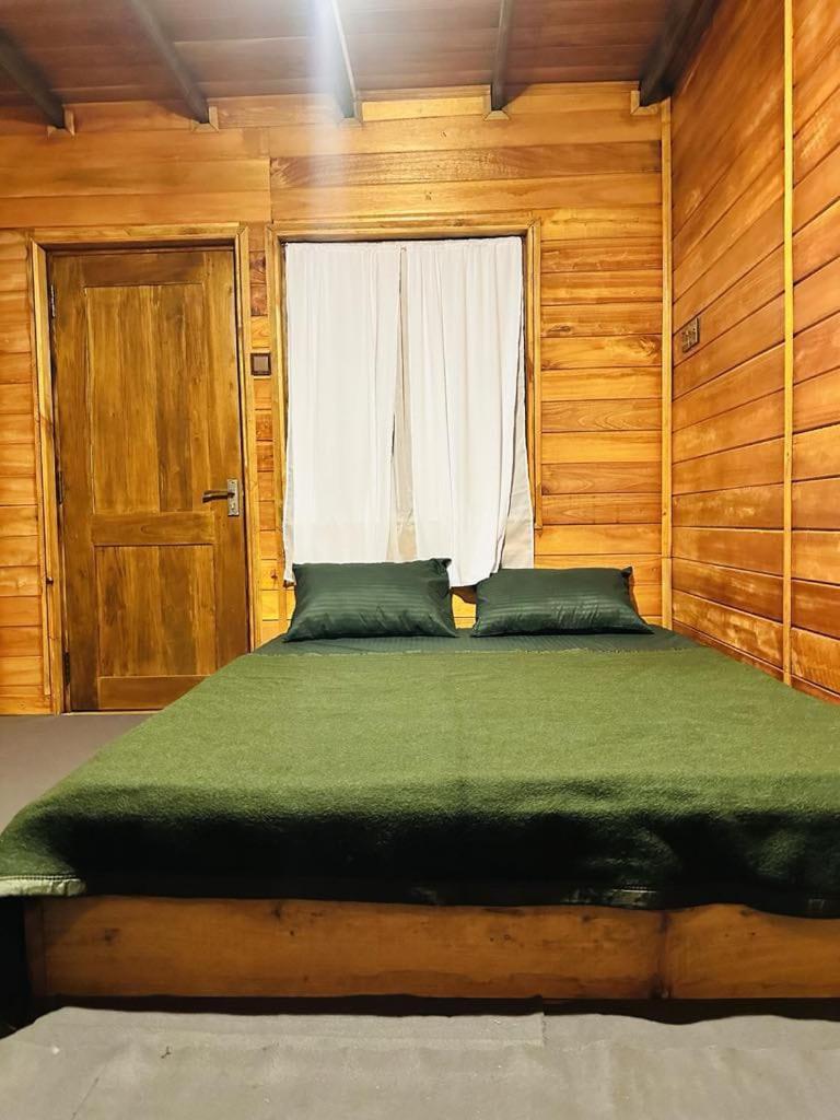 The Golden Hive Guest house