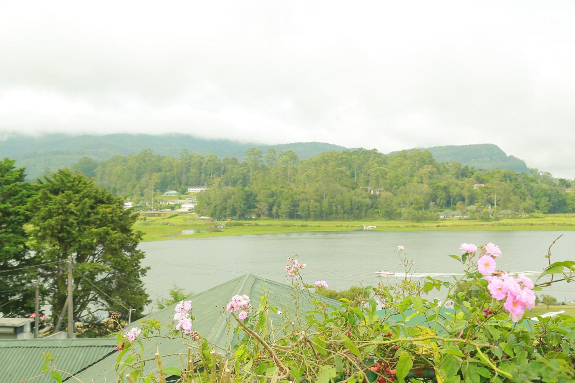 Bed & Breakfast Gregory View *