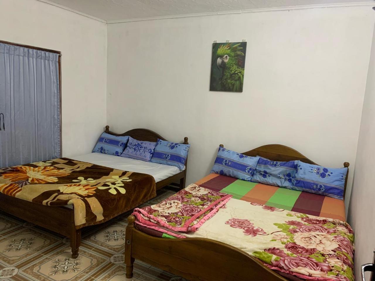 Montella Guest house *