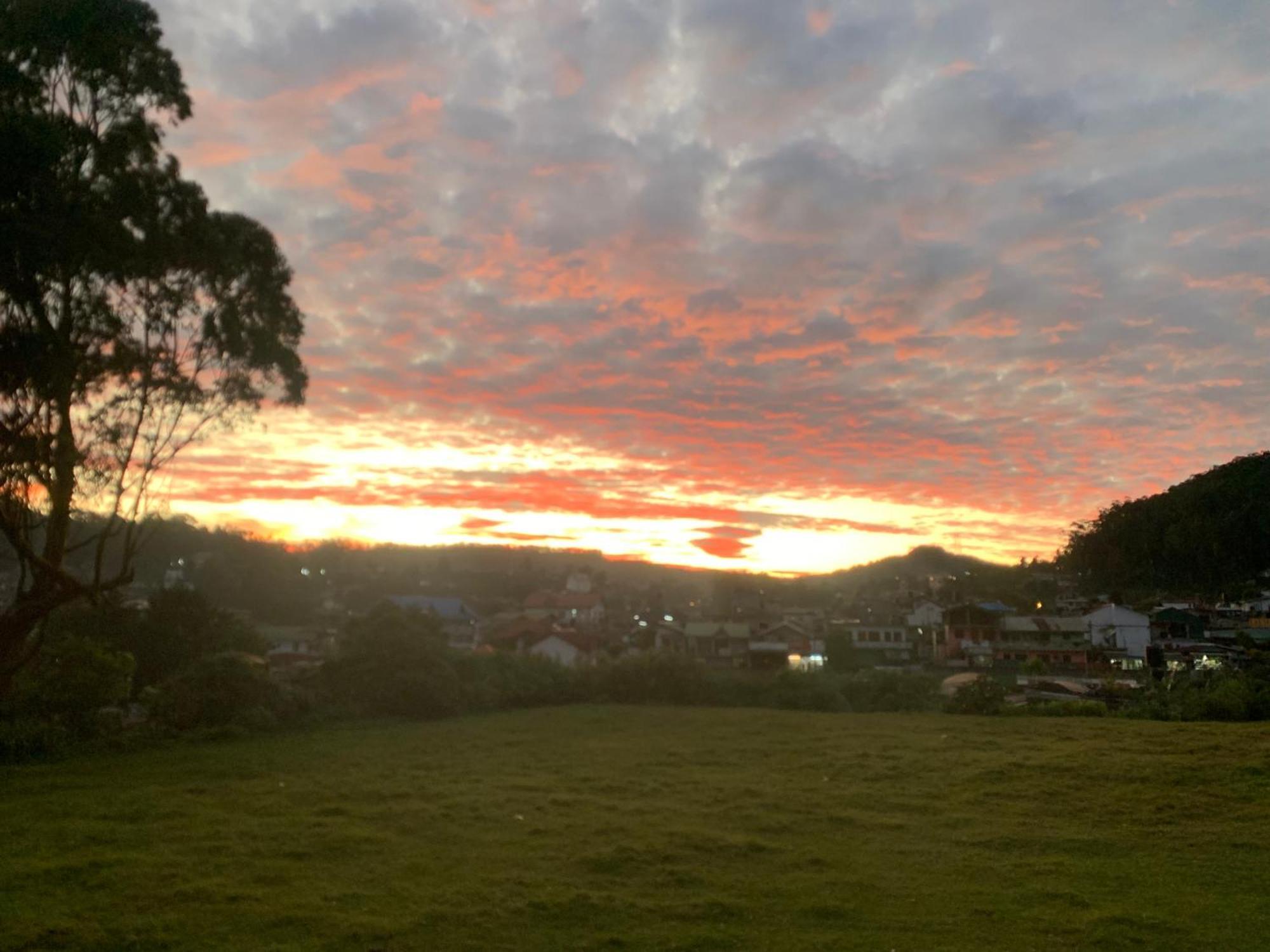 2020 Wooden * Nuwara Eliya