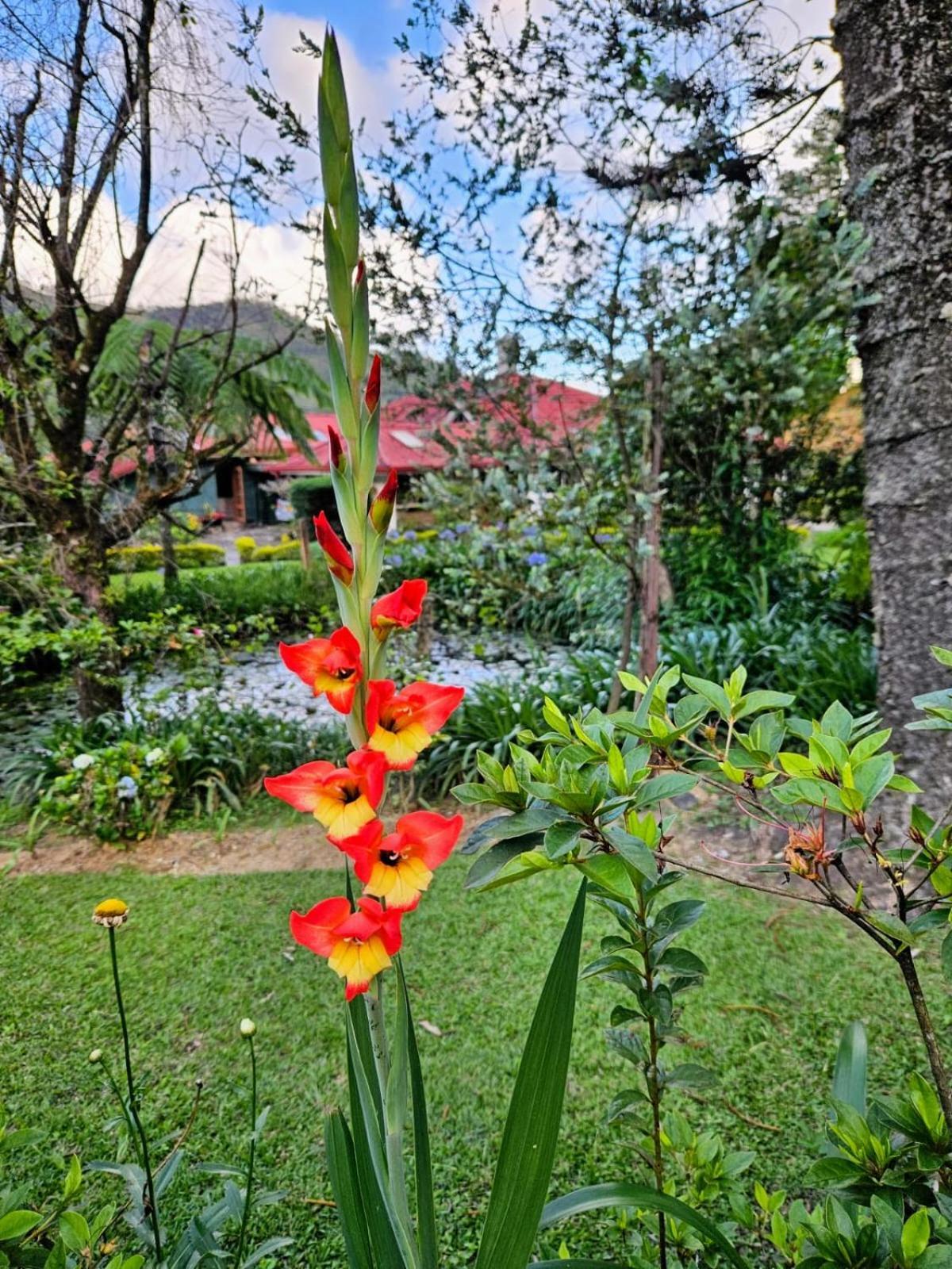 Meena Ella Holiday home