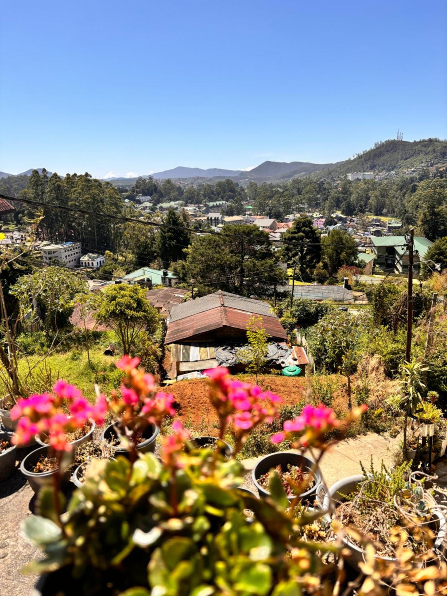 Shiny View Guest house