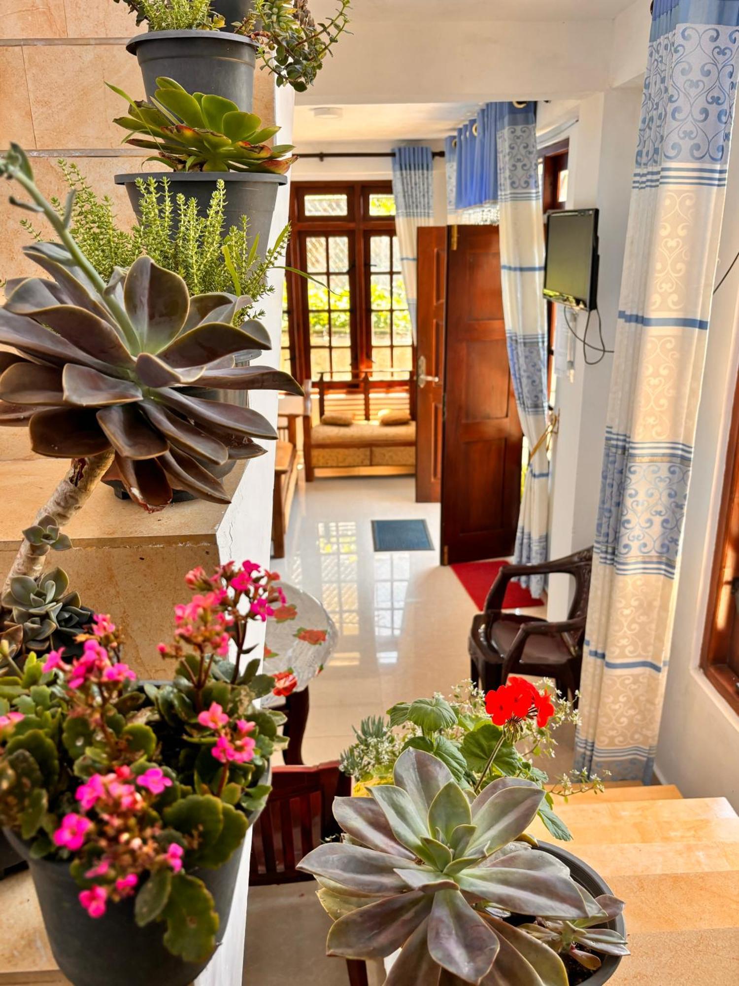 Guest house Shiny View