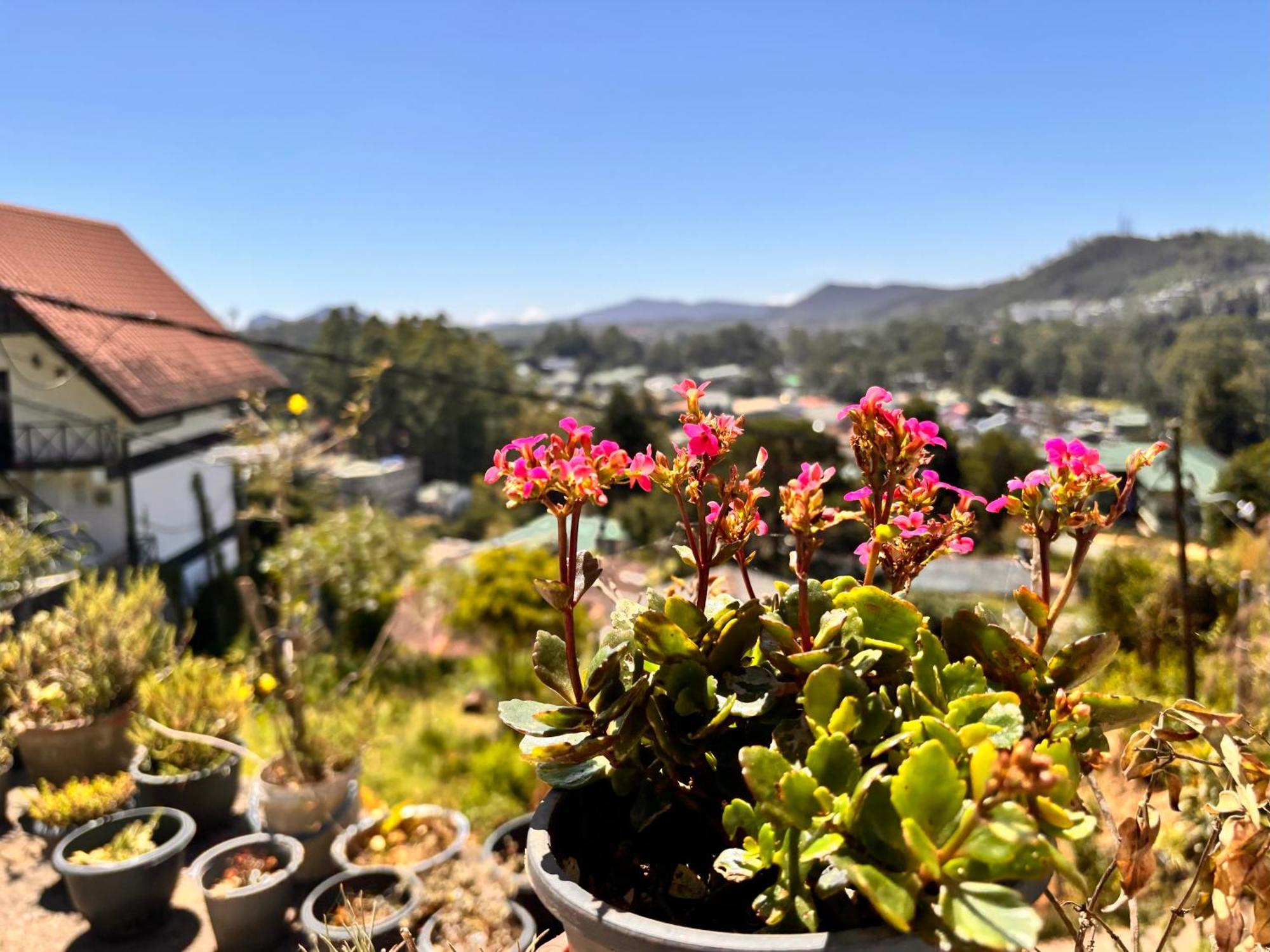 Shiny View Guest house Nuwara Eliya