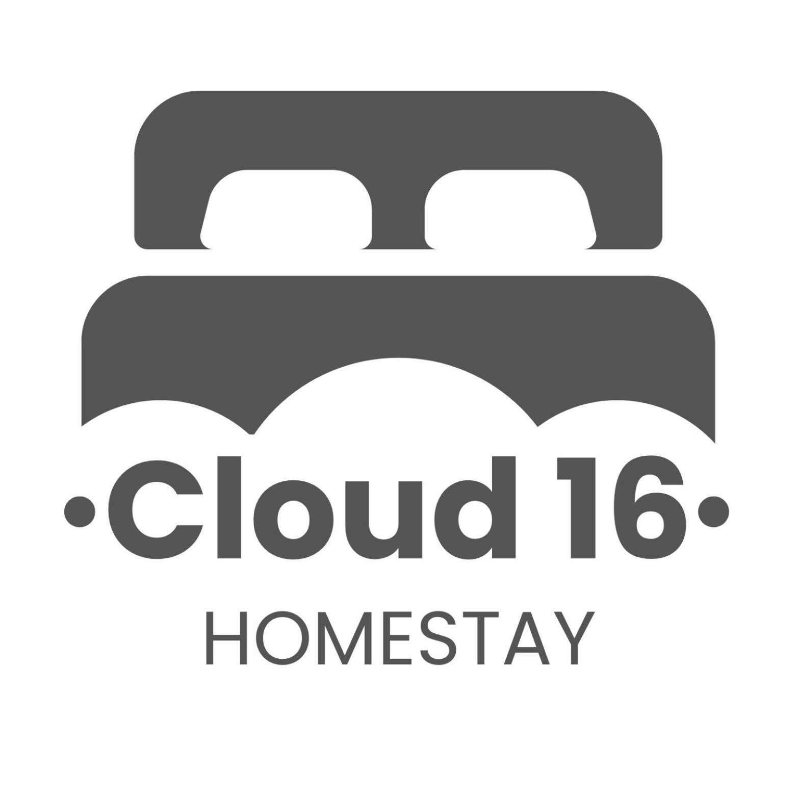 Cloud 16 *