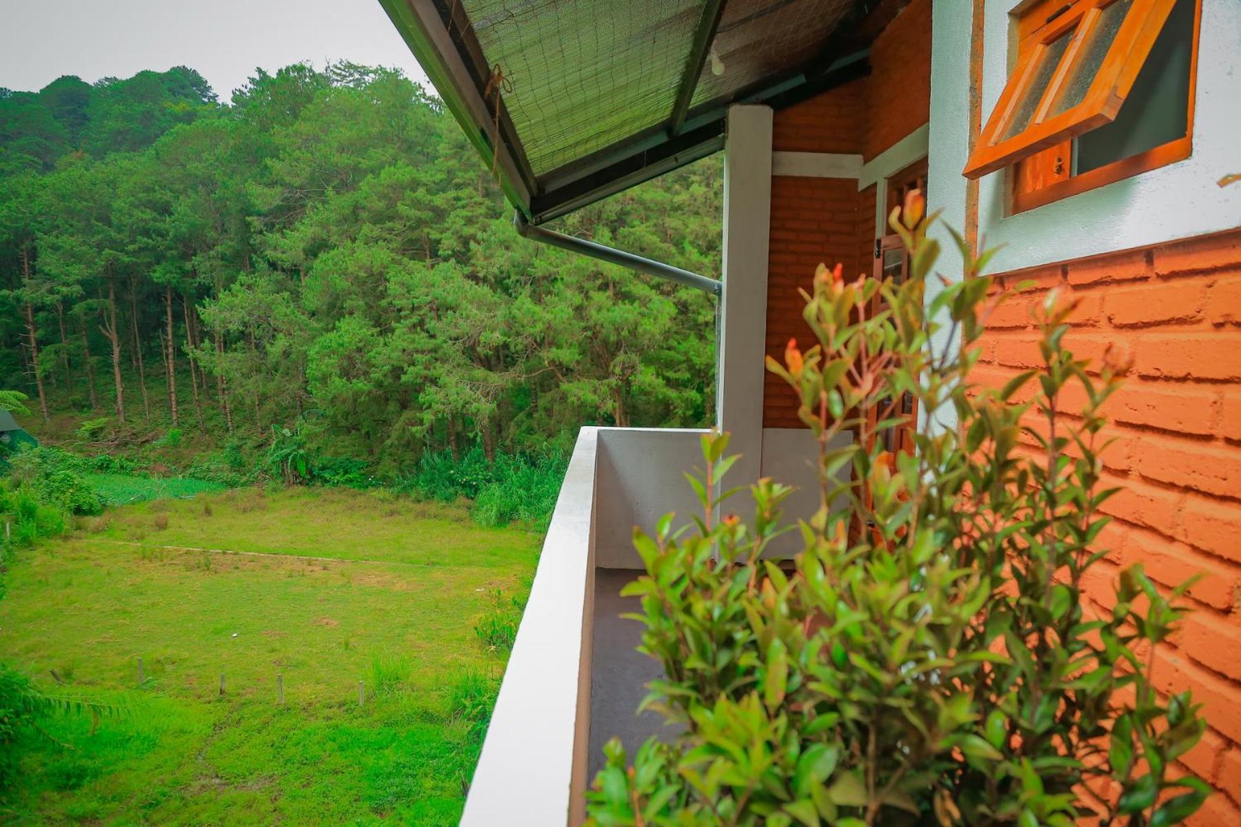 Apartment The Backwoods -