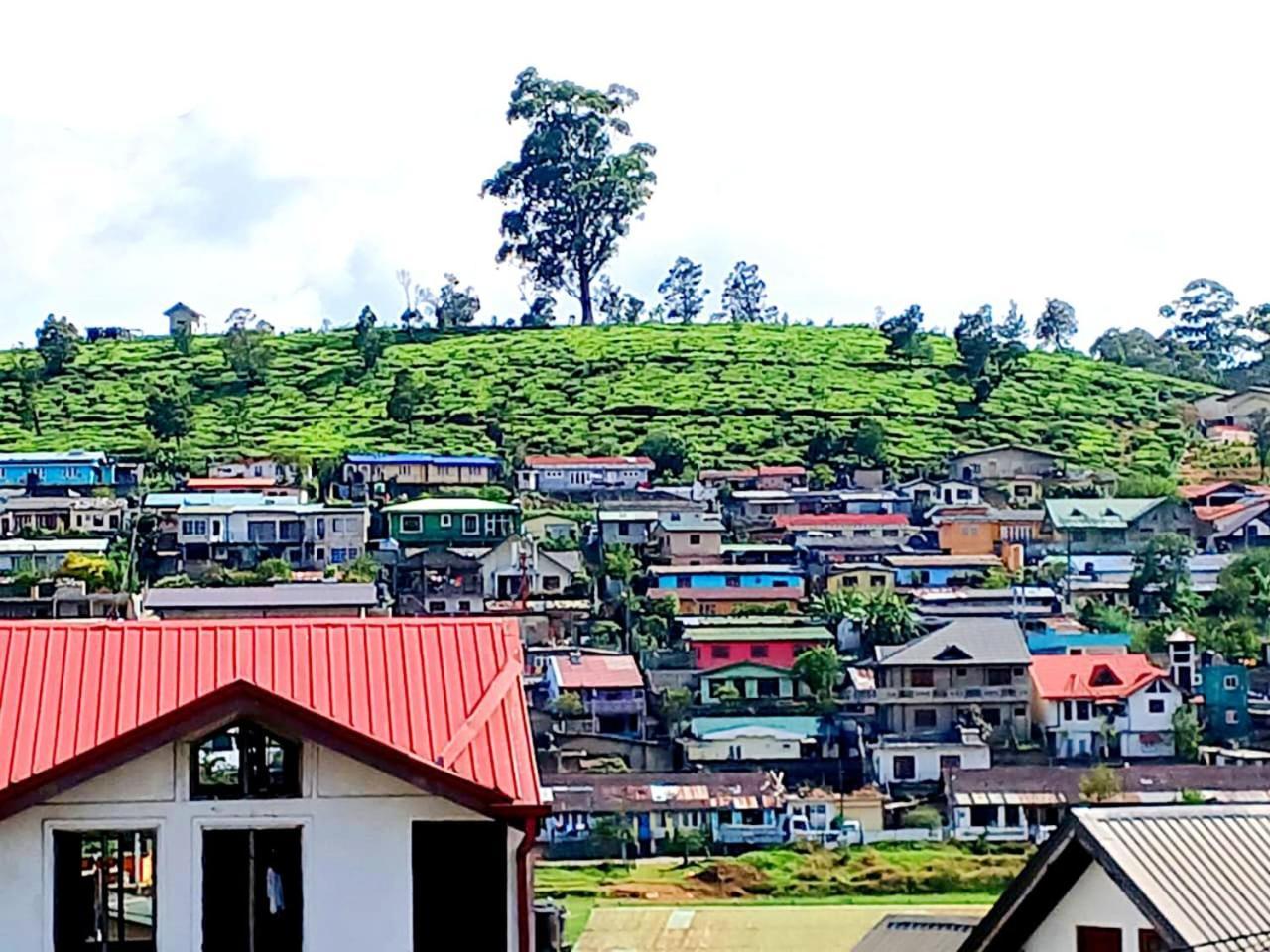 Homestay Dio Hilltop *