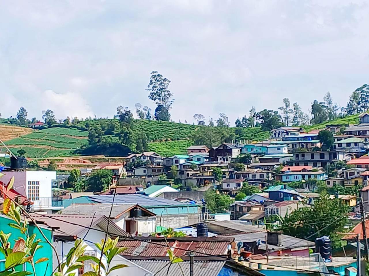 Dio Hilltop Homestay *