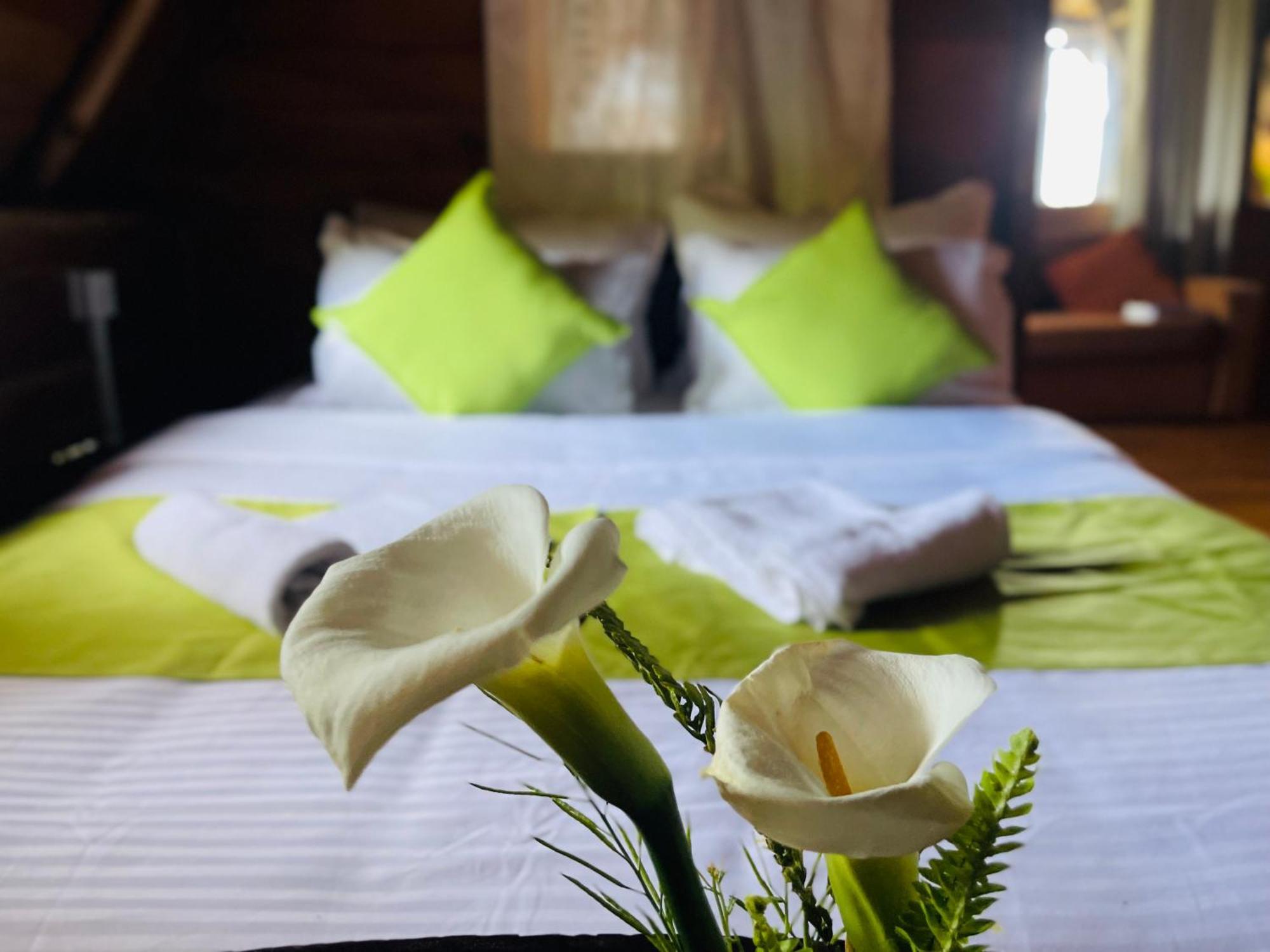 Hotel Frost 3*