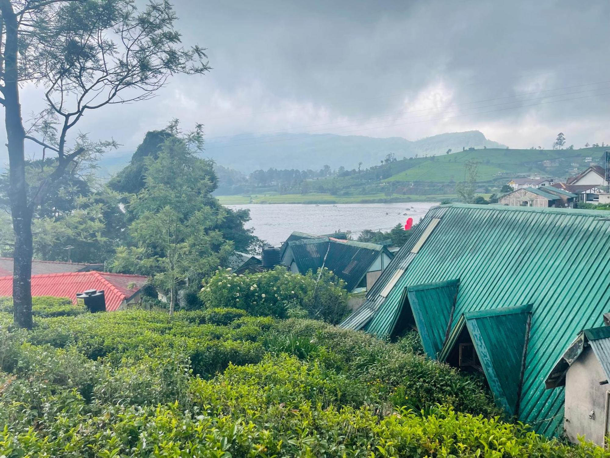 Frost Nuwara Eliya