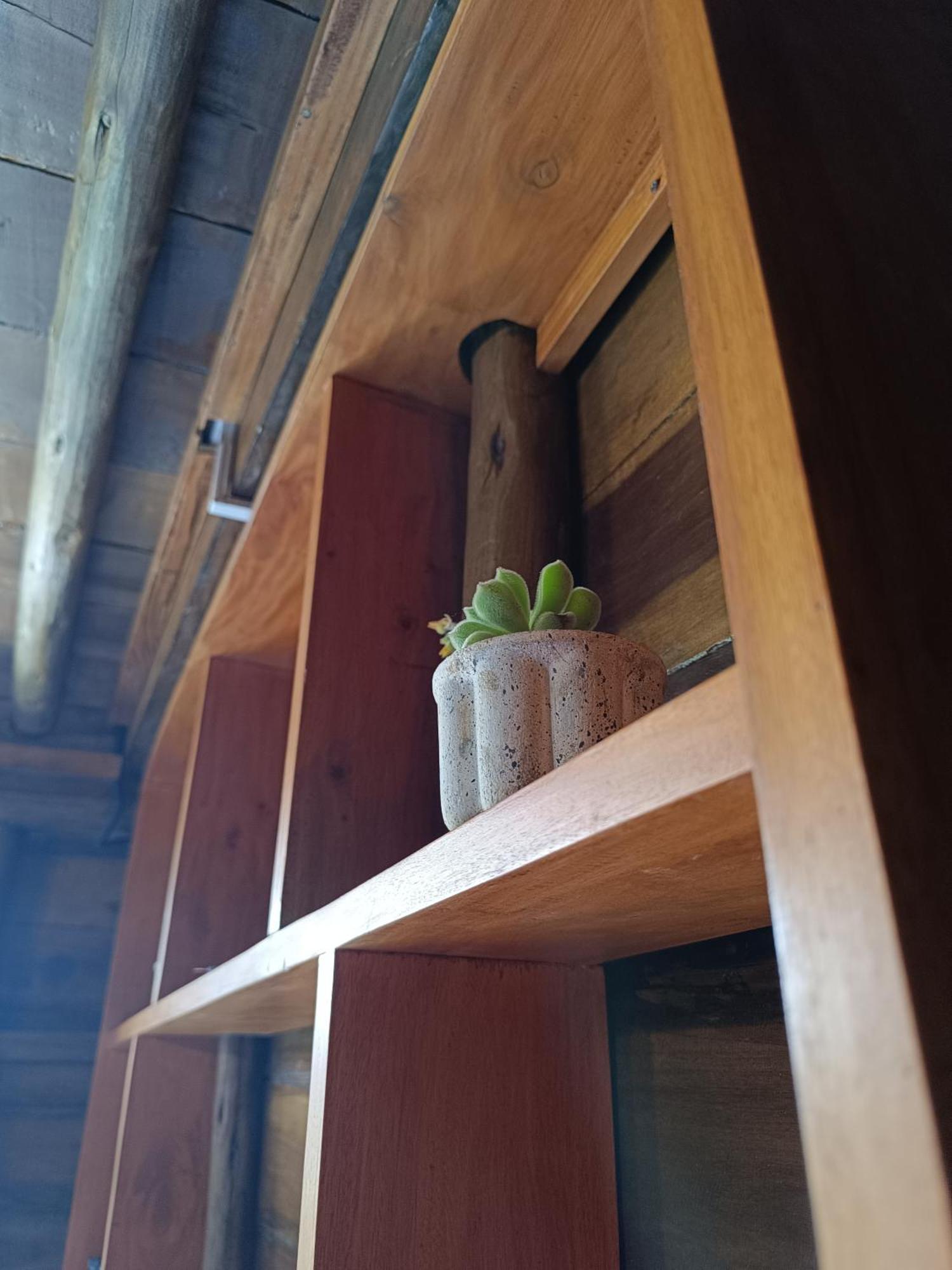 Rc Quirky Wood House