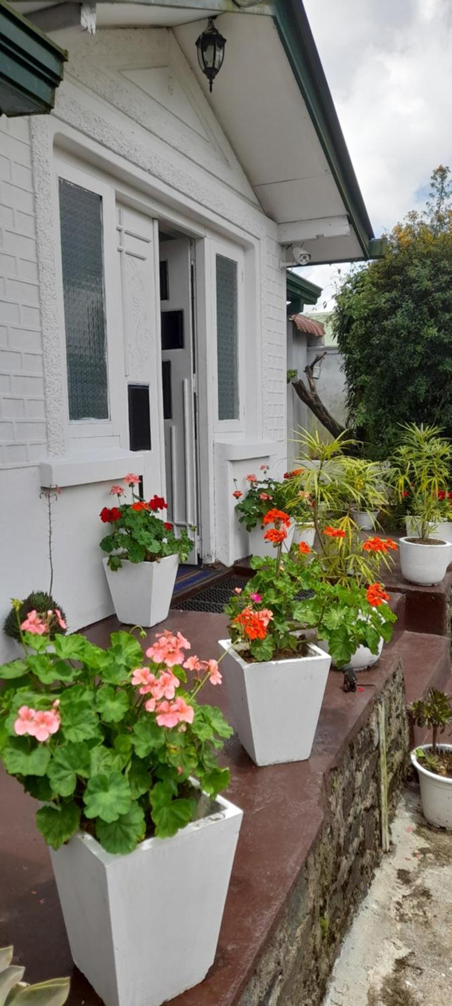 Guest house Zion White House