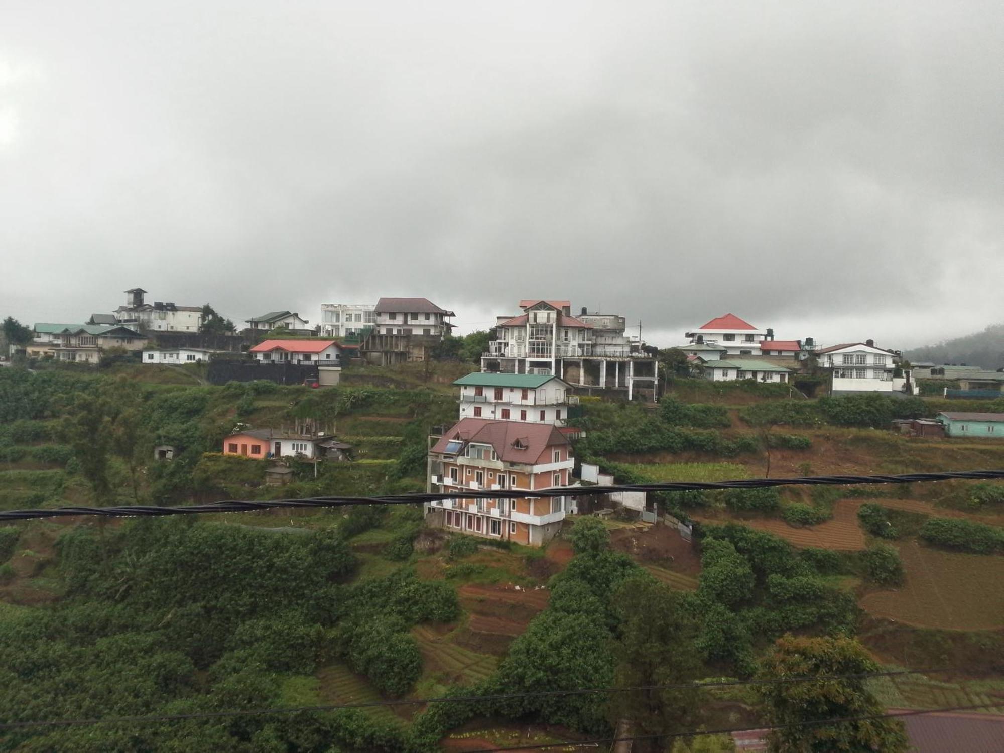 Gregory Tea House Homestay *