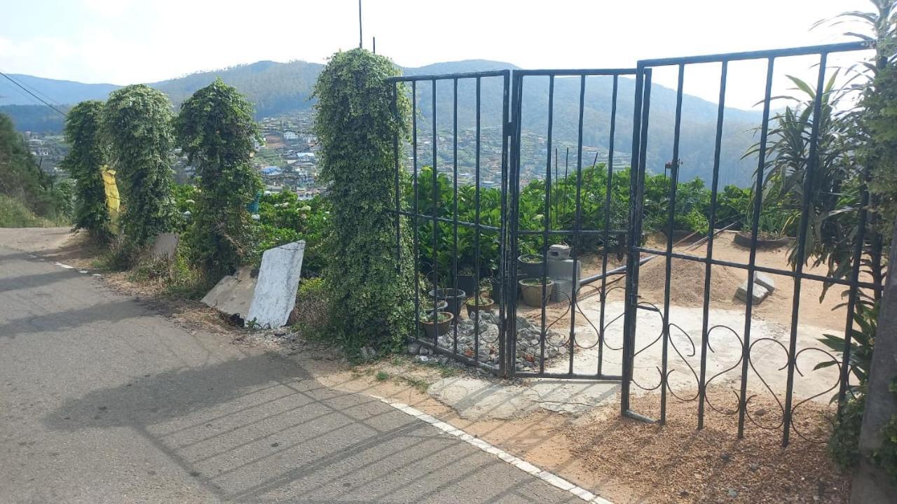 Foliage * Nuwara Eliya