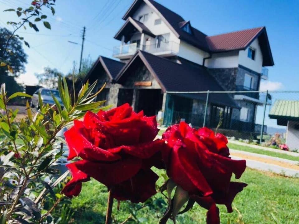 Venice House 3* Nuwara Eliya