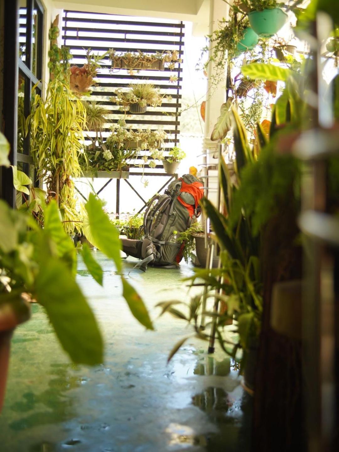Redwood Guest house *