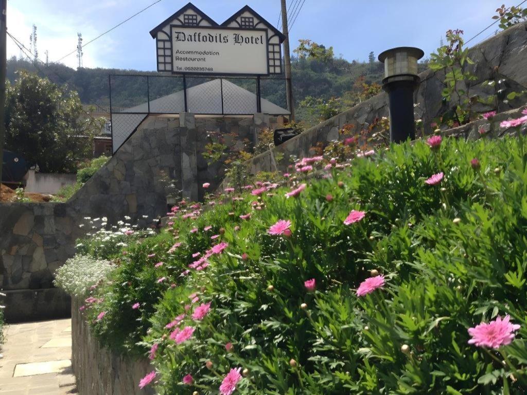 Hotel Daffodils Nuwara Eliya