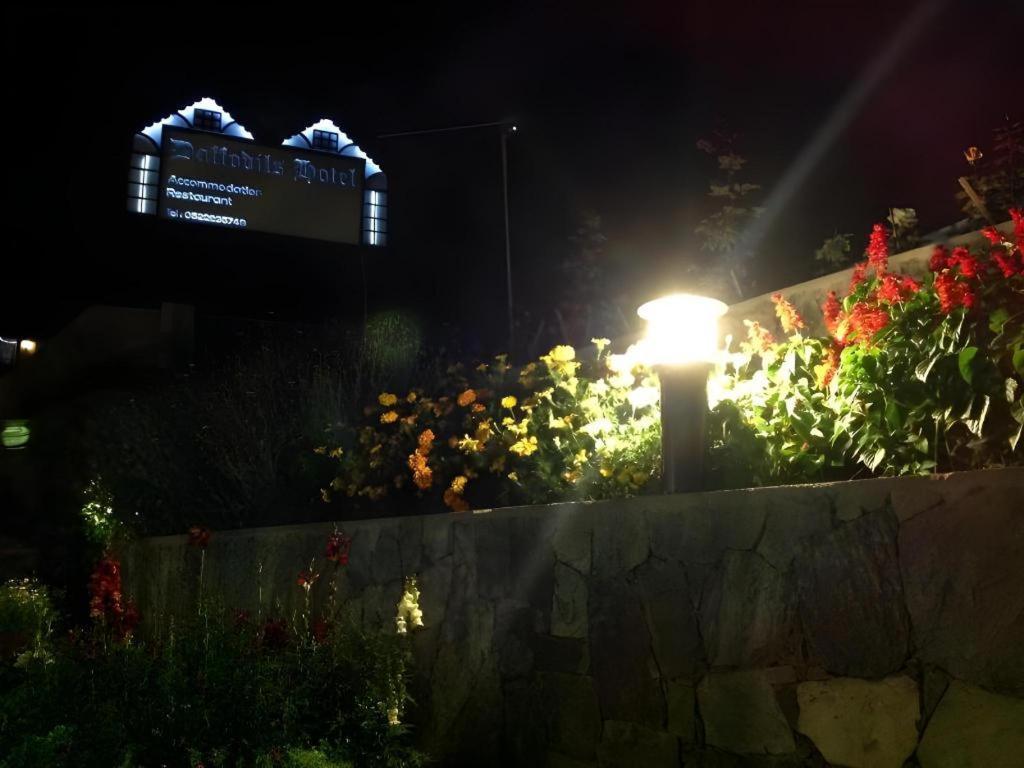 Hotel Daffodils Nuwara Eliya