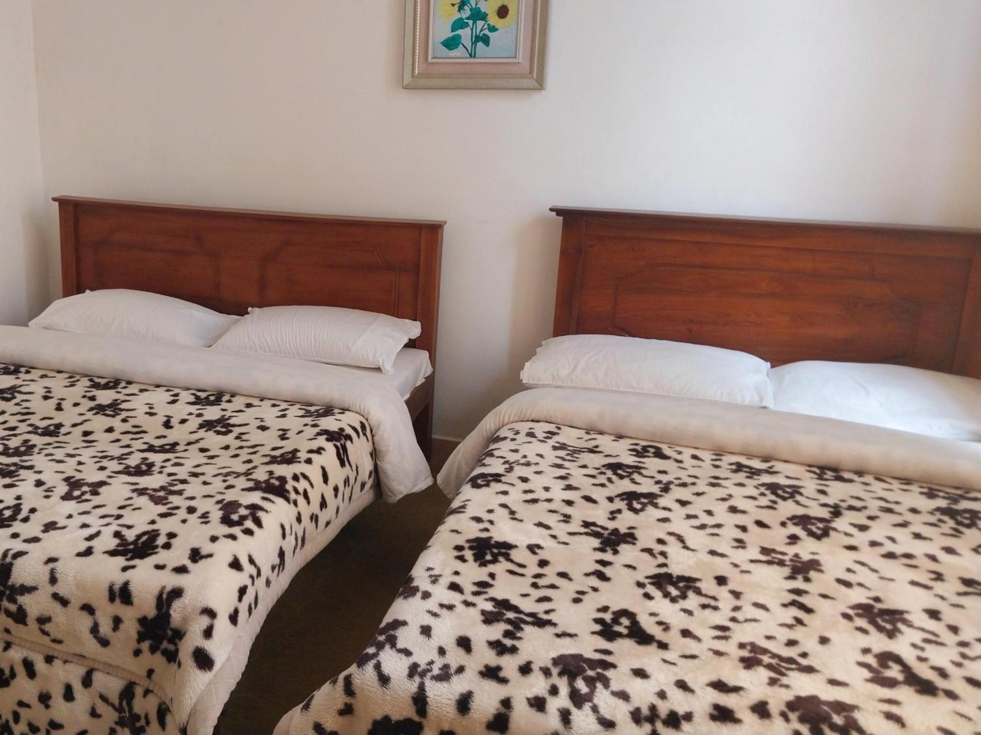 Drizzle Ridge Hotel *