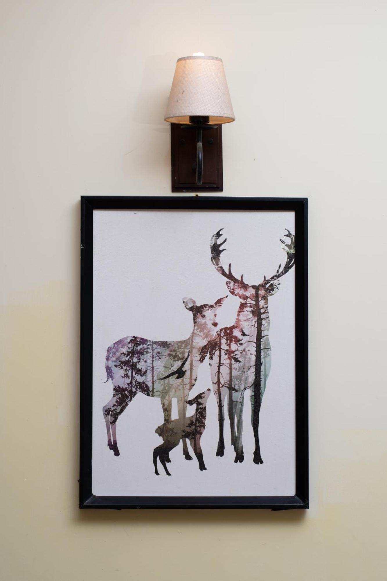 The Hamlyn Bed & Breakfast *