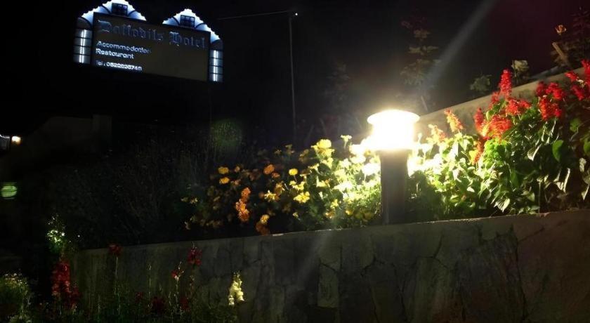 Hotel Daffodils