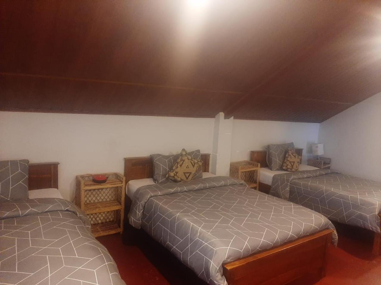 Misty Mount Hostel