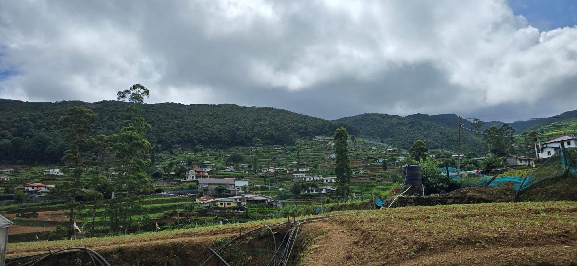 ThisTest Nuwara Eliya