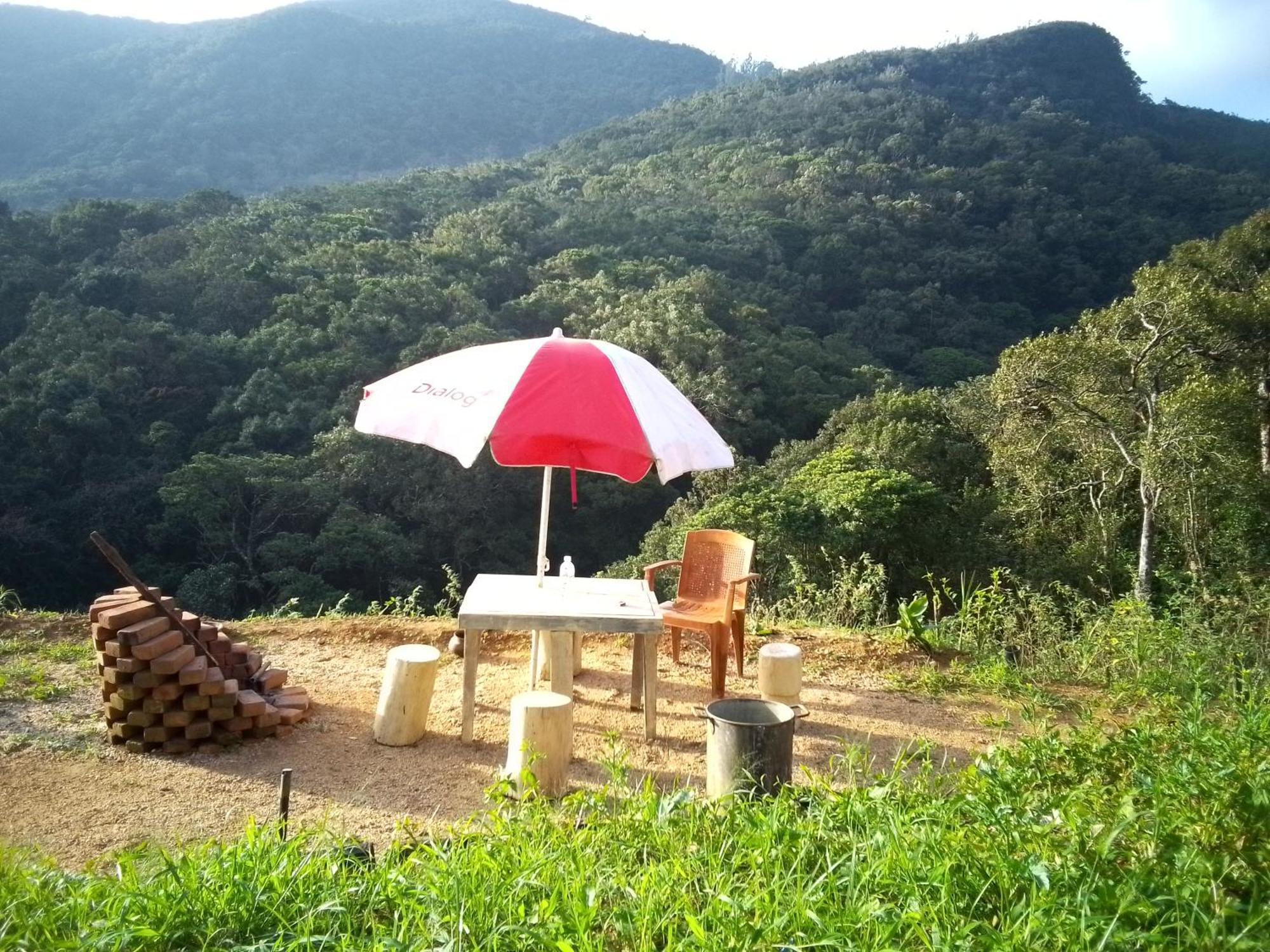 Bed & Breakfast D Hearts ,