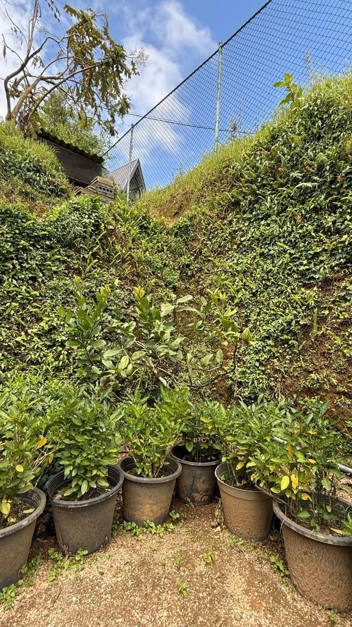 Holiday home Breezy Loft - *