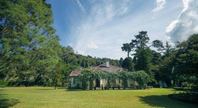 Craigbank Nuwaraeliya Resort 5*