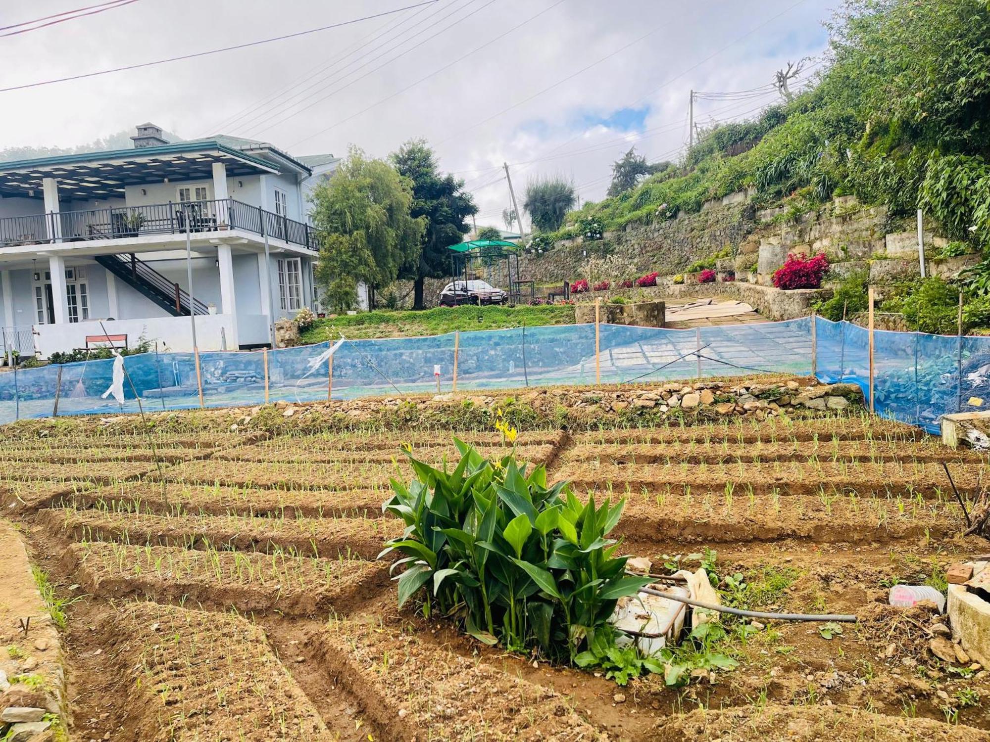 Lavender Hotel Nuwara Eliya