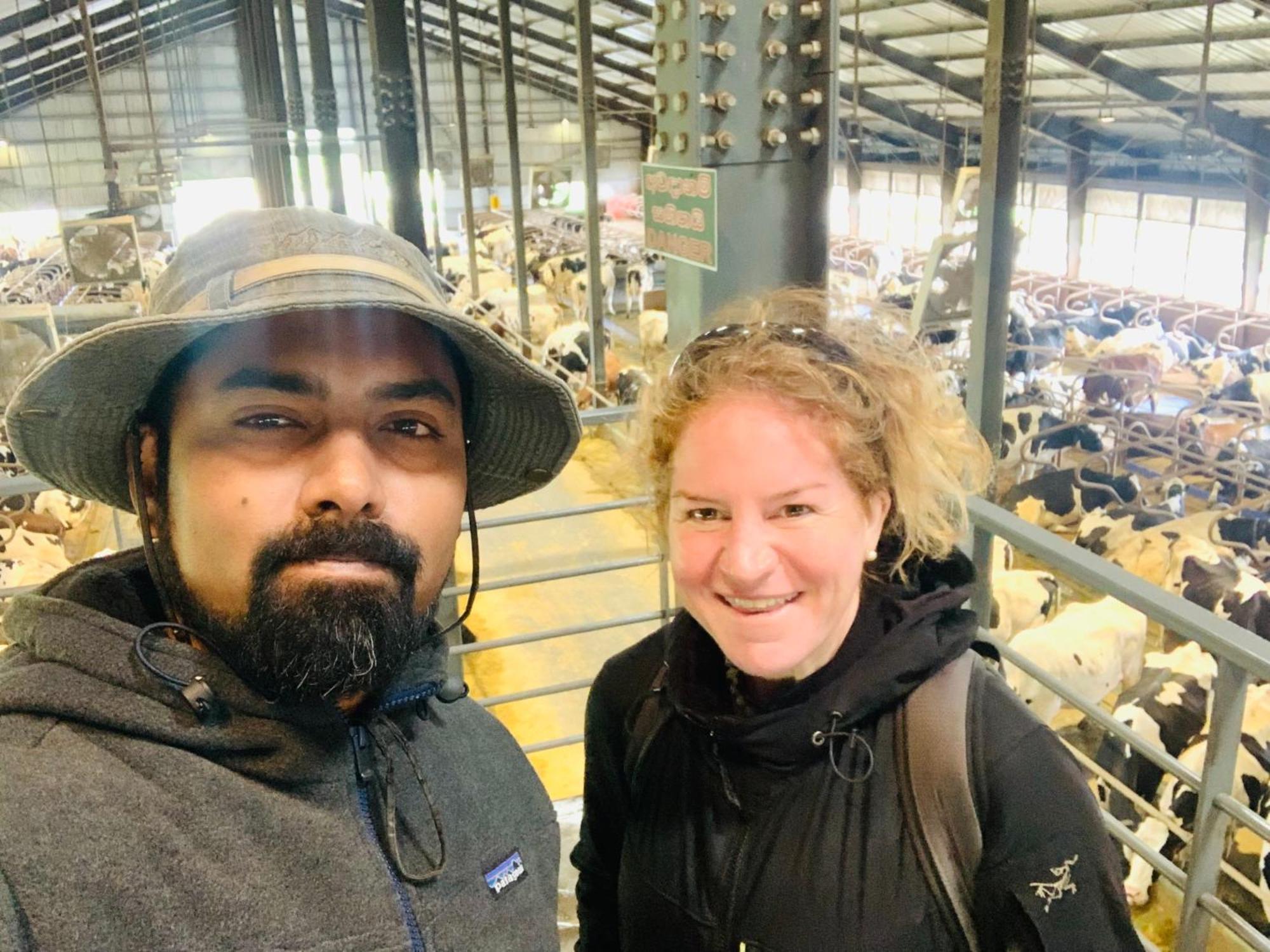 Pedro Stay,cooking Classes & Tours * Nuwara Eliya