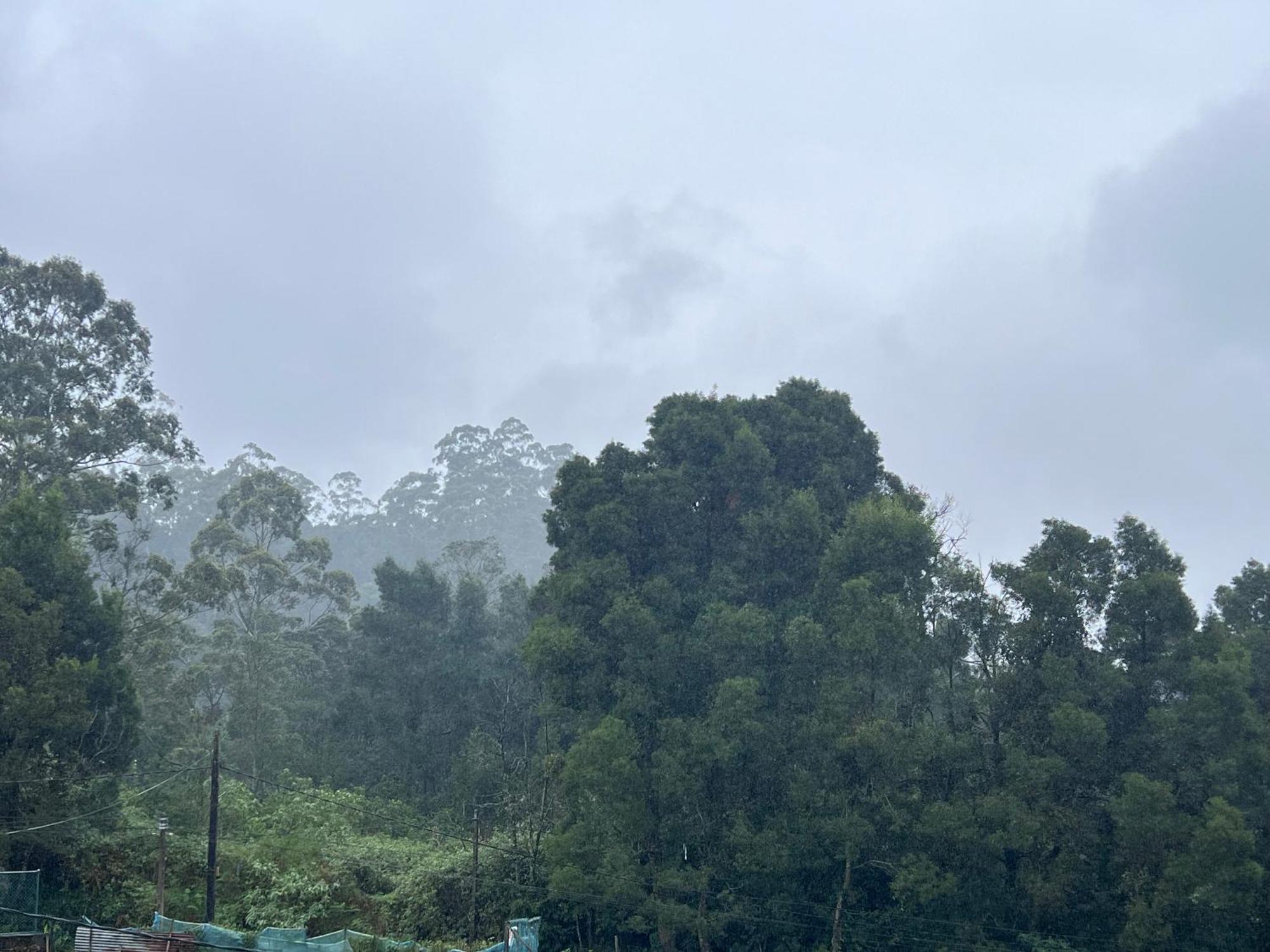 Galway - View Luxury Apartment, Sri Lanka Apartment