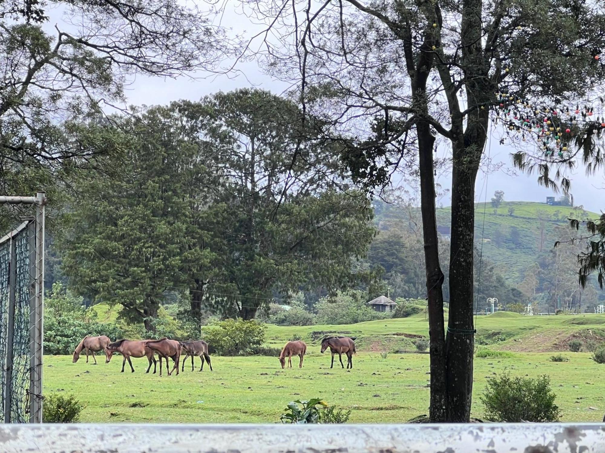 Apartment Galway - View Luxury Apartment, Sri Lanka *
