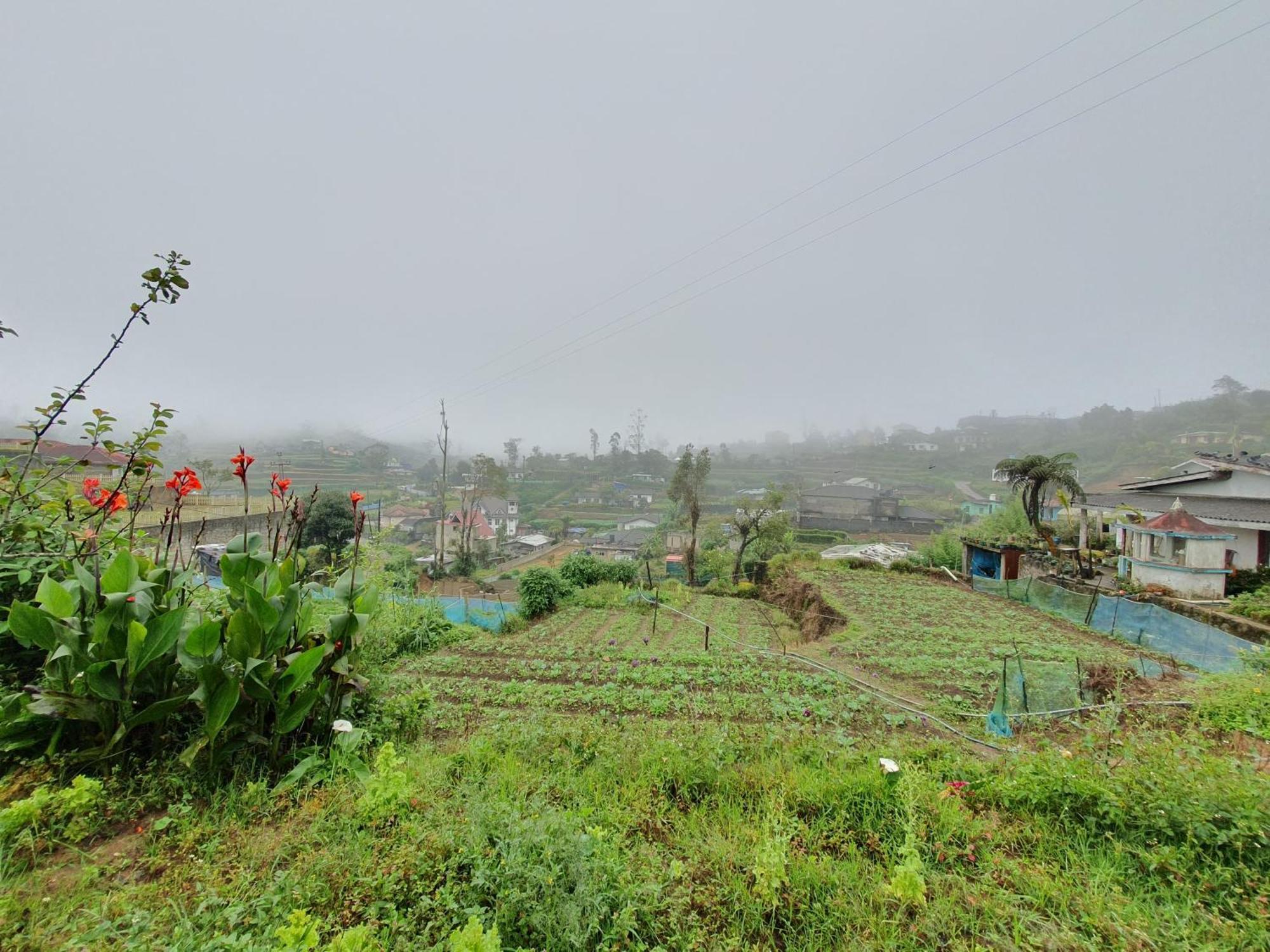 Blackpool Retreat Nuwaraeliya Homestay *