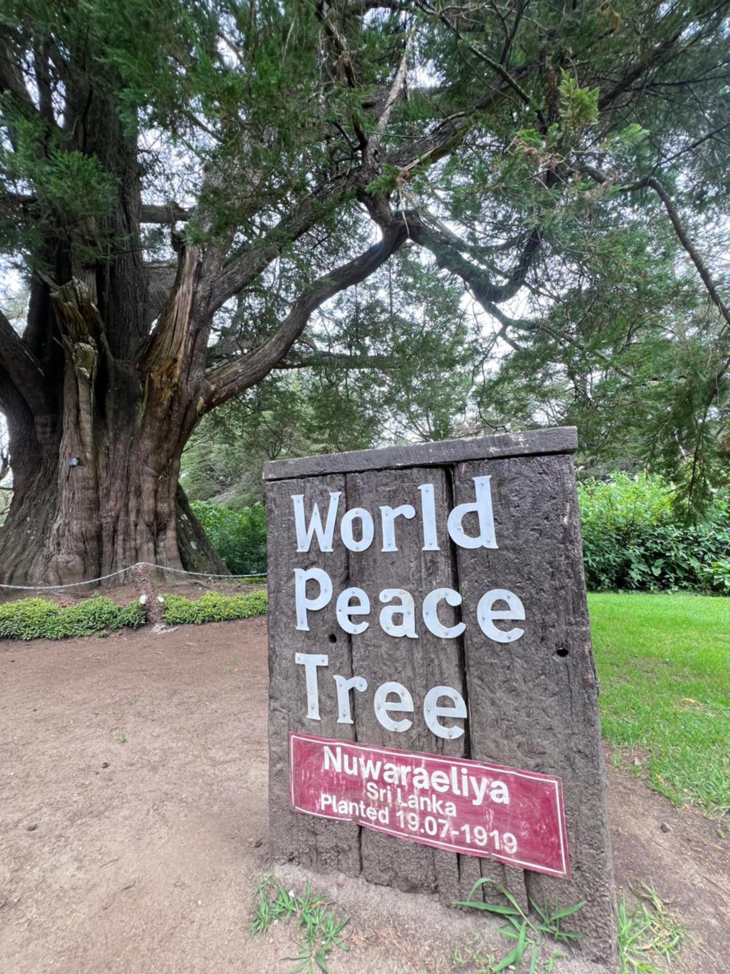 Apartment Galway - View Luxury Apartment, Sri Lanka