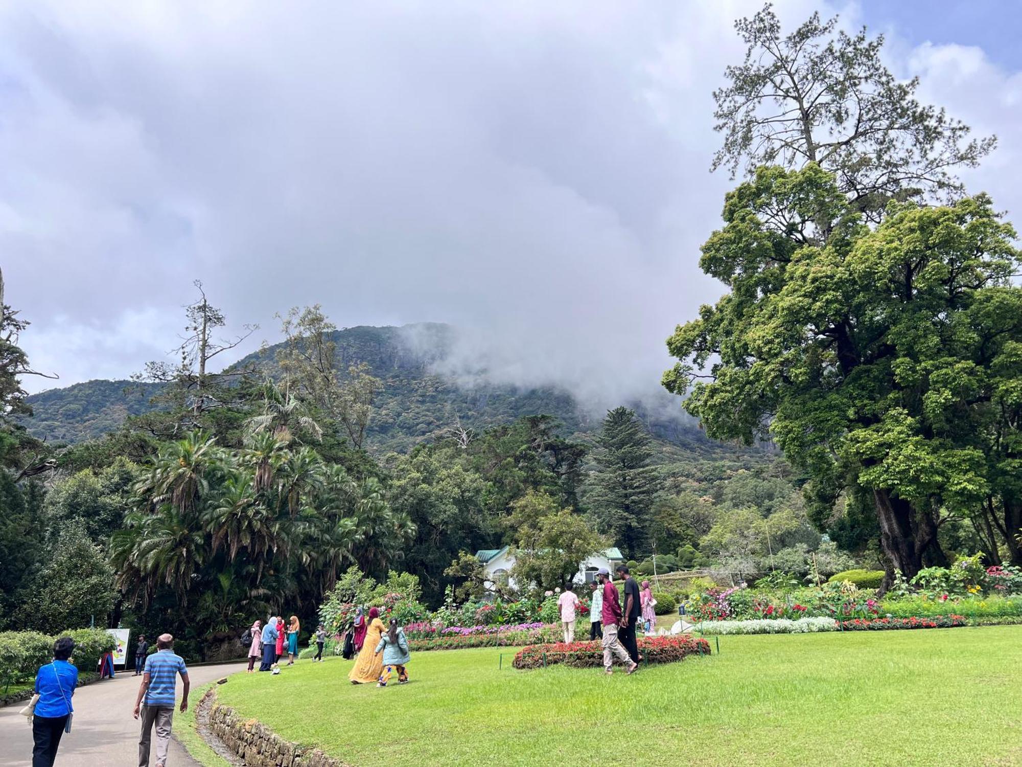 Galway - View Luxury Apartment, Sri Lanka * Nuwara Eliya